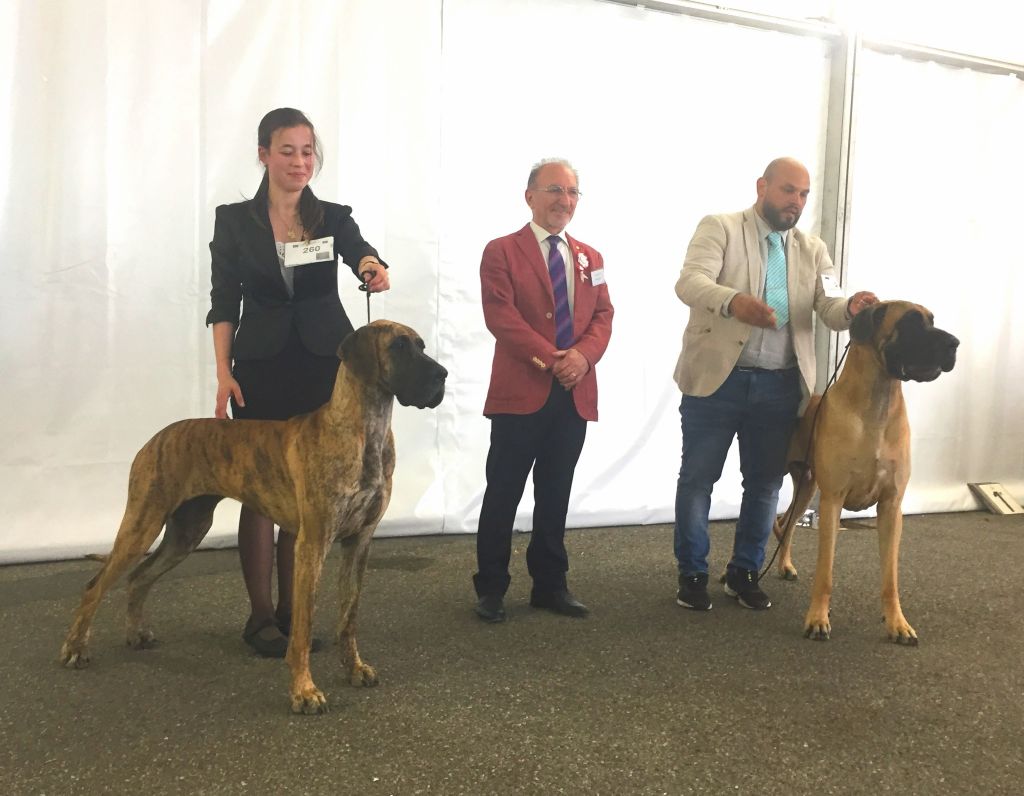 De Peredur - Salomé se distingue à MONACO !