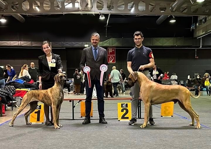 De Peredur - Au Luxembourg, Salomé Meilleure de race & Sharlotte championne !