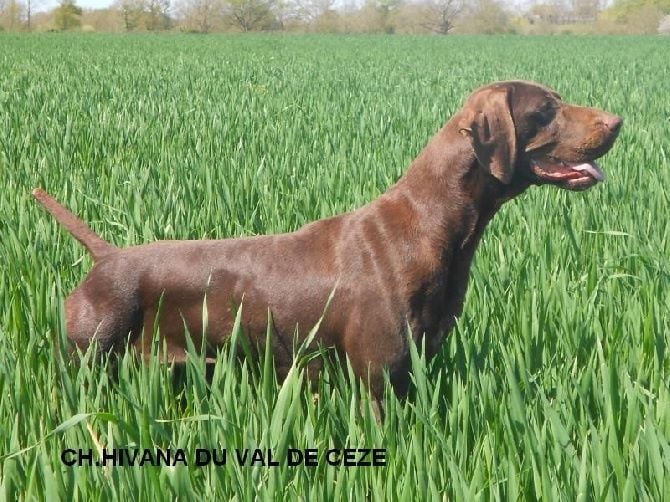 field de poix en picardie