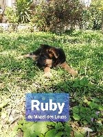 RUBY