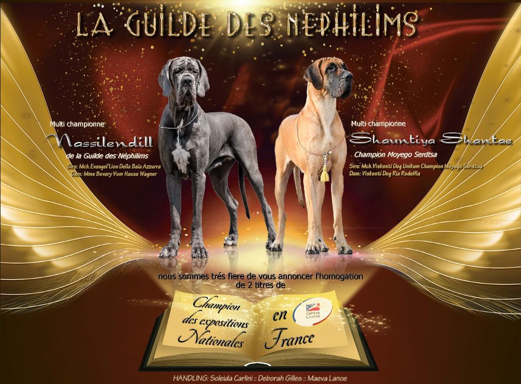 De La Guilde Des Néphilims - nos championnes Nationales 