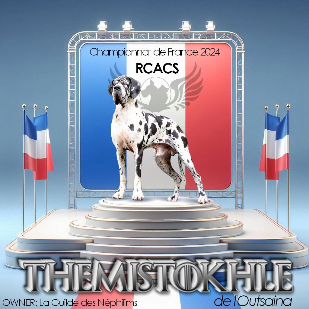 De La Guilde Des Néphilims - THEMISTOKHLE vice champion de France