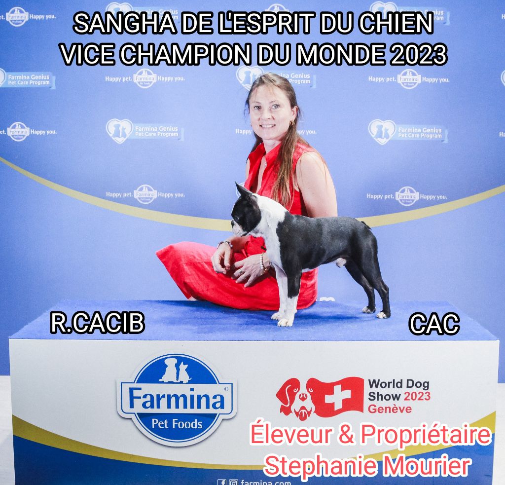 De L'esprit Du Chien - SANGHA VICE CHAMPION DU MONDE 2023