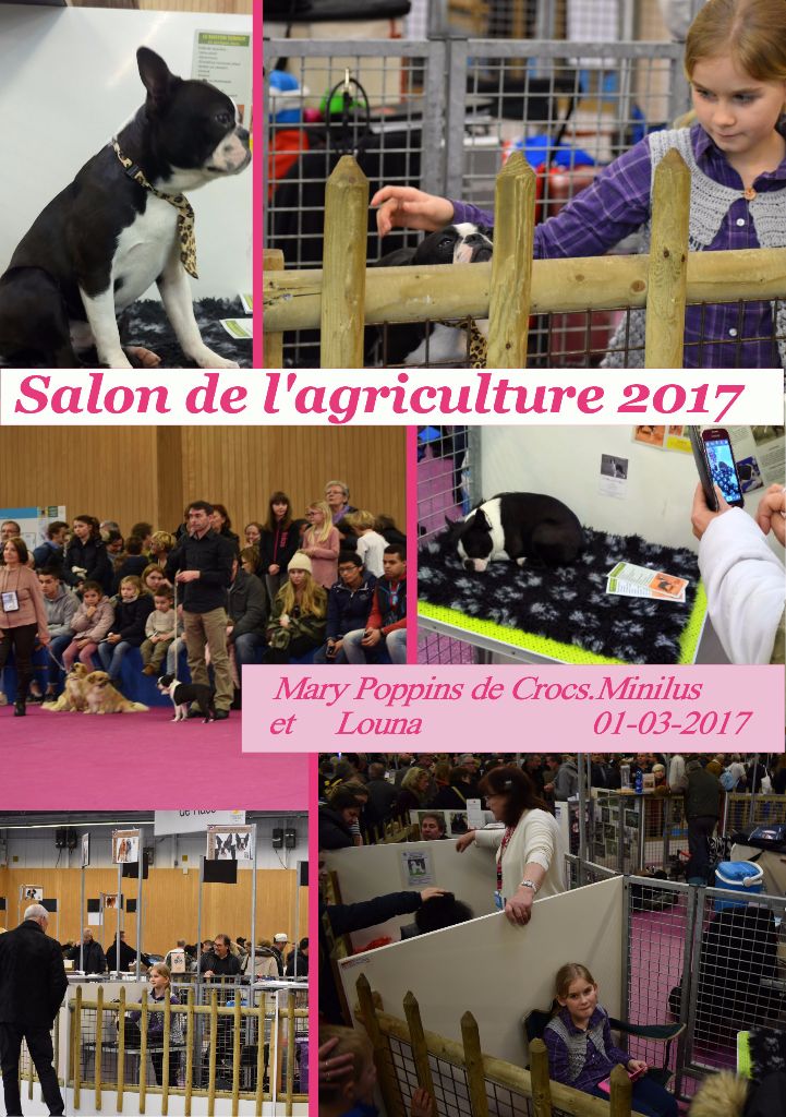 de Crocs Minilus - Salon de l'agriculture 2017