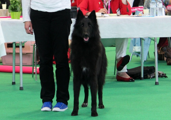 des Gardiens de l'Hermine - Championnat de France. Angers 7 juin 2014 (Grœnendael)