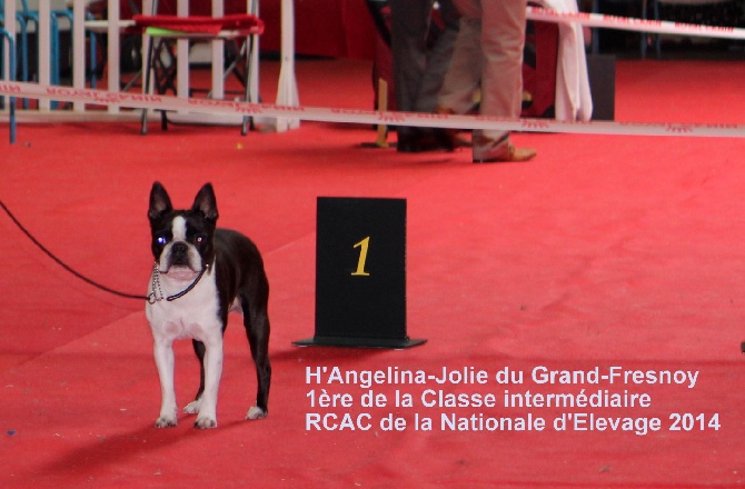 des Gardiens de l'Hermine - NATIONALE D ELEVAGE 2014