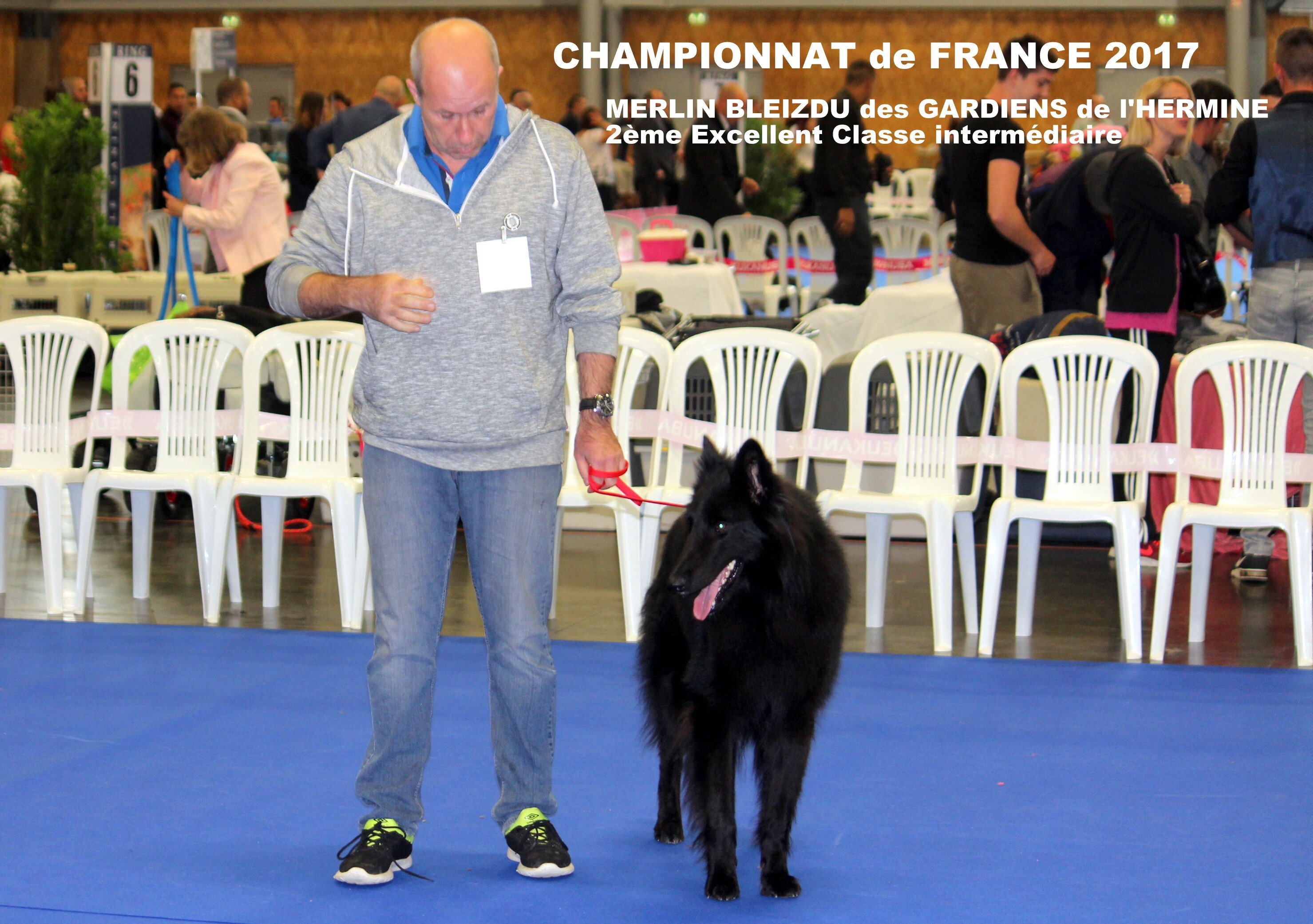 des Gardiens de l'Hermine - Championnat de France. (Grœnendael mâle )