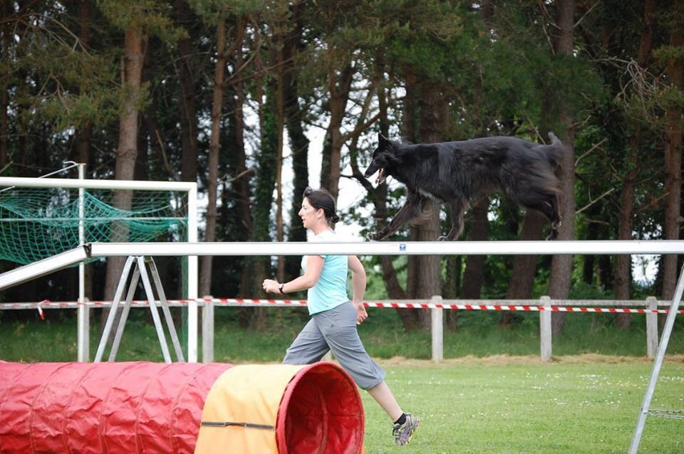 des Gardiens de l'Hermine - Agility pour Enez !