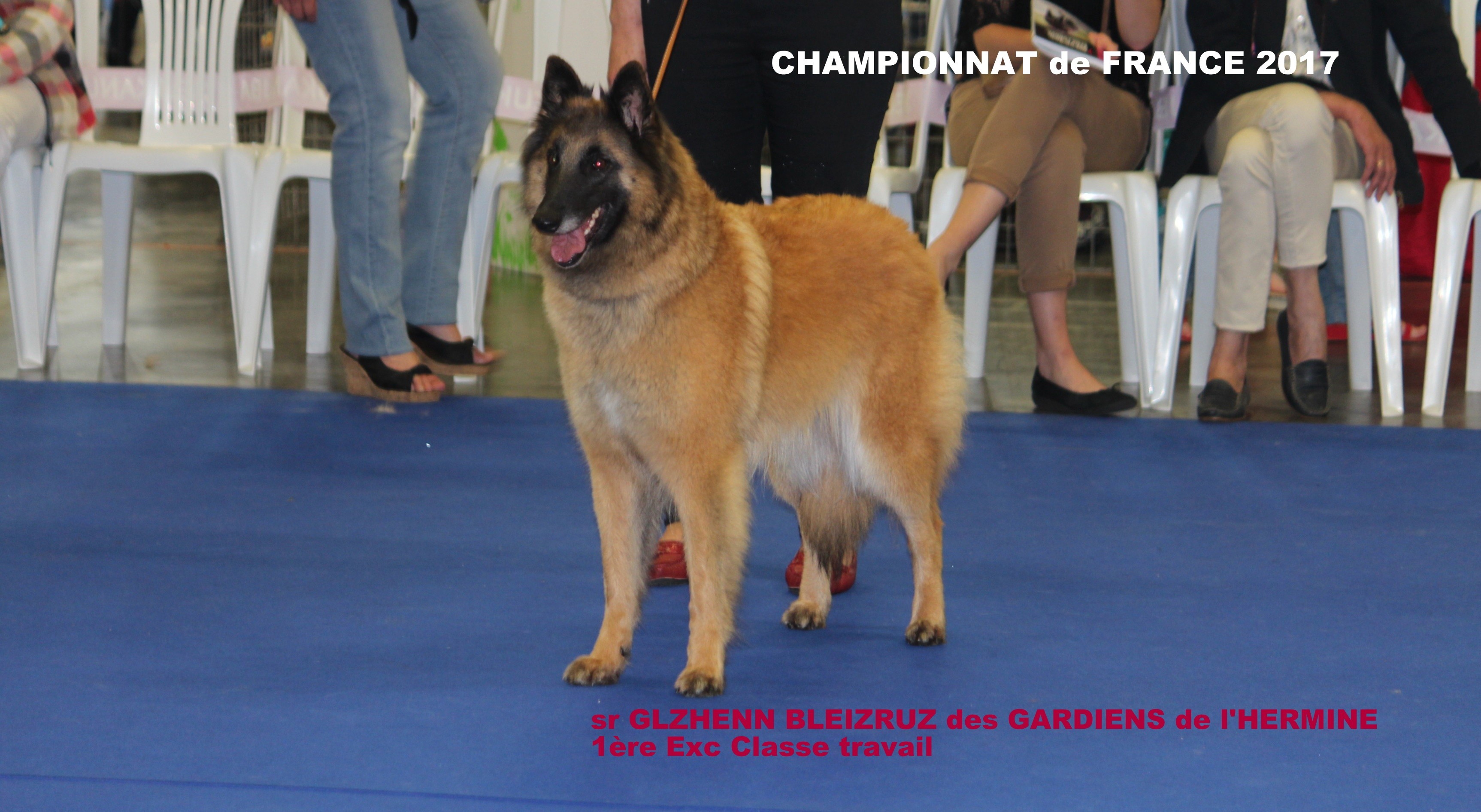 des Gardiens de l'Hermine - Championnat de France tervueren