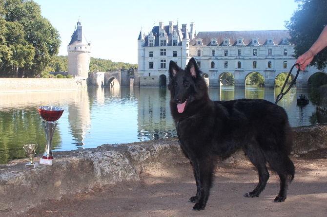 des Gardiens de l'Hermine - Molenez devant les rives du Cher,  à  Chenonceaux