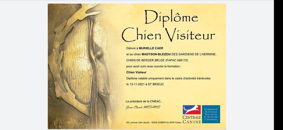 des Gardiens de l'Hermine - Diplômes de Chien Visiteur et CAESC pour Madyson !