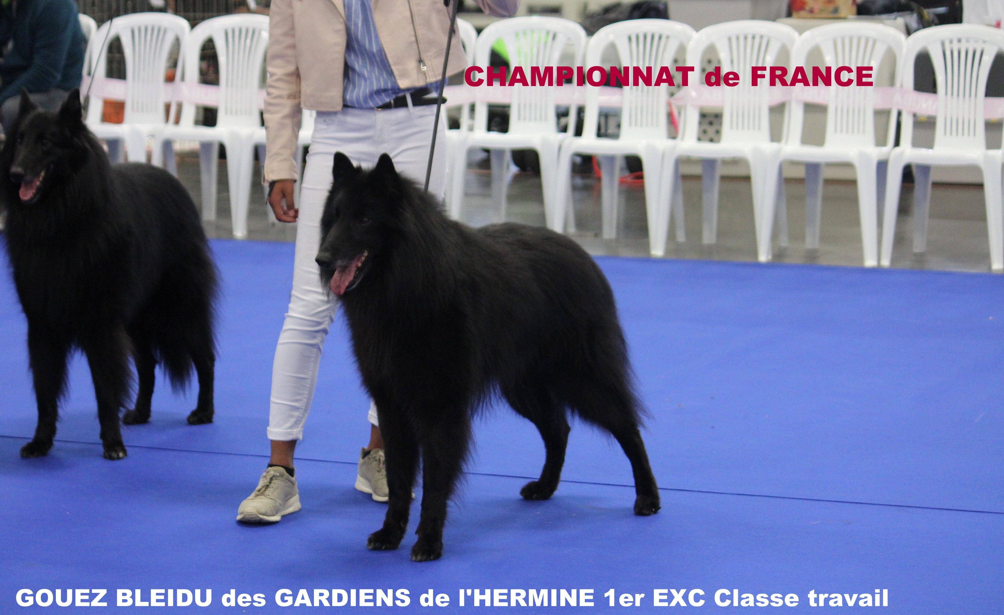 des Gardiens de l'Hermine - Championnat de France mâle classe travail 