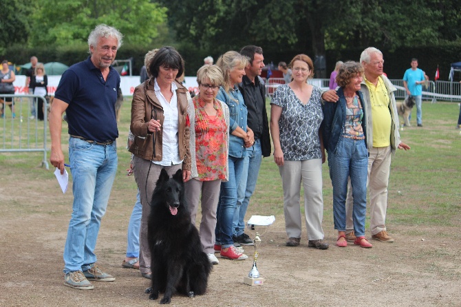 des Gardiens de l'Hermine - 'NATIONALE D ELEVAGE DU CLUB DU BERGER BELGE 21-22-23 août 2015