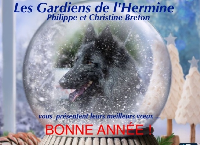 des Gardiens de l'Hermine - Meilleurs vœux de bonne année !