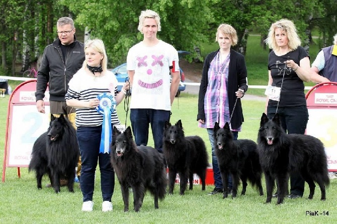 des Gardiens de l'Hermine - Finlande-Descendants de SR Sparfel des Gardiens de l'Hermine