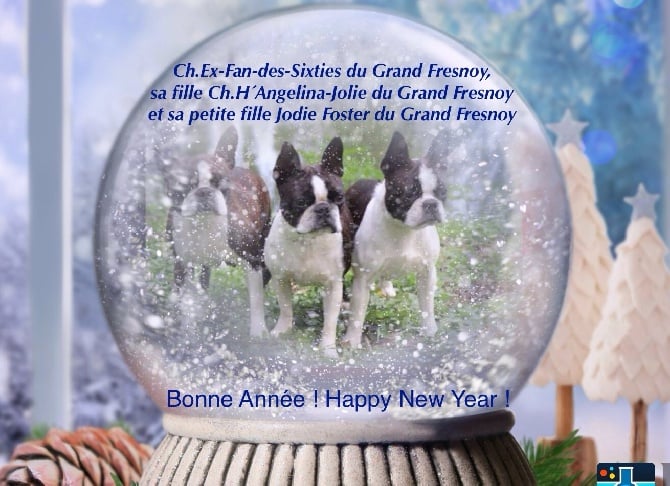 des Gardiens de l'Hermine - Meilleurs vœux de Bonne année !