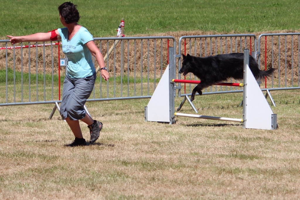 des Gardiens de l'Hermine - Concours de Pontivy (suite) AGILITY