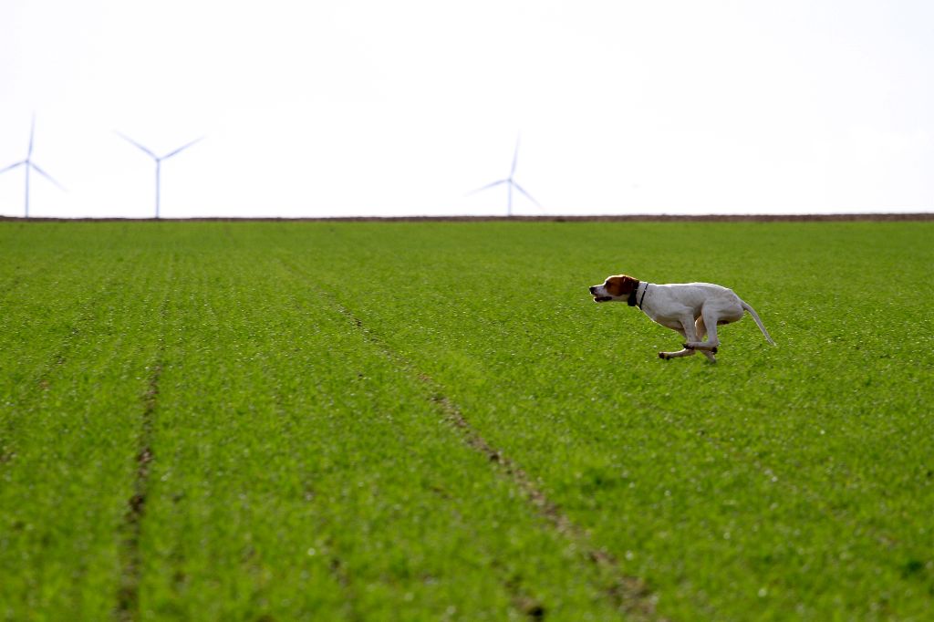 De bassegas - Le futur ...