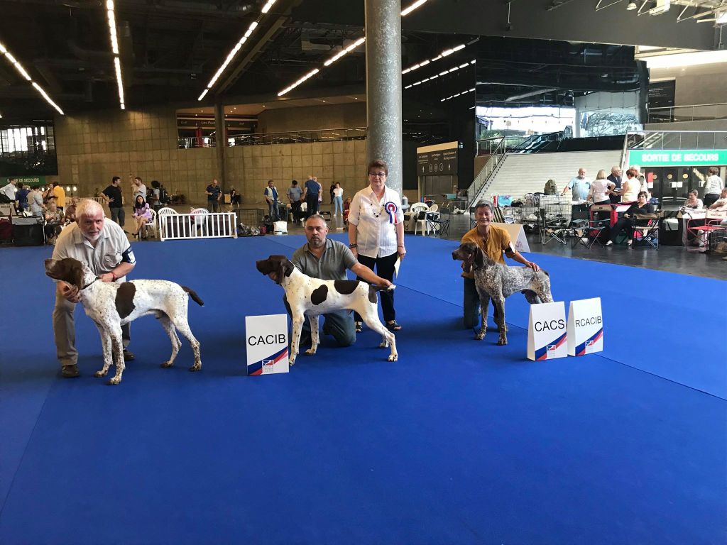 du vallon de Beaudini - Léon - Champion de France de beauté