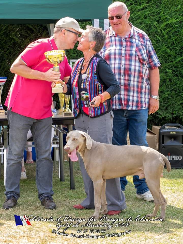 du vallon de Beaudini - MAORI-MOKO en route pour le Championnat de conformité au standard