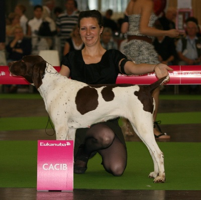 du vallon de Beaudini - BRITTA    CHAMPIONNE DU MONDE