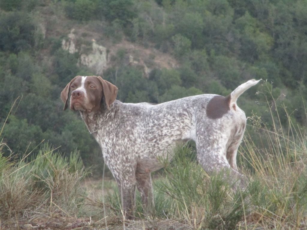 du vallon de Beaudini - Une nouvelle Championne au Vallon