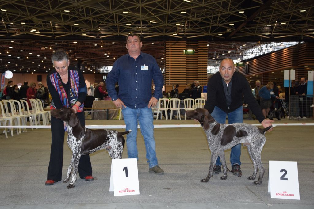 du vallon de Beaudini - Exposition internationale de Lyon  19 Mai 2019-  Mâle