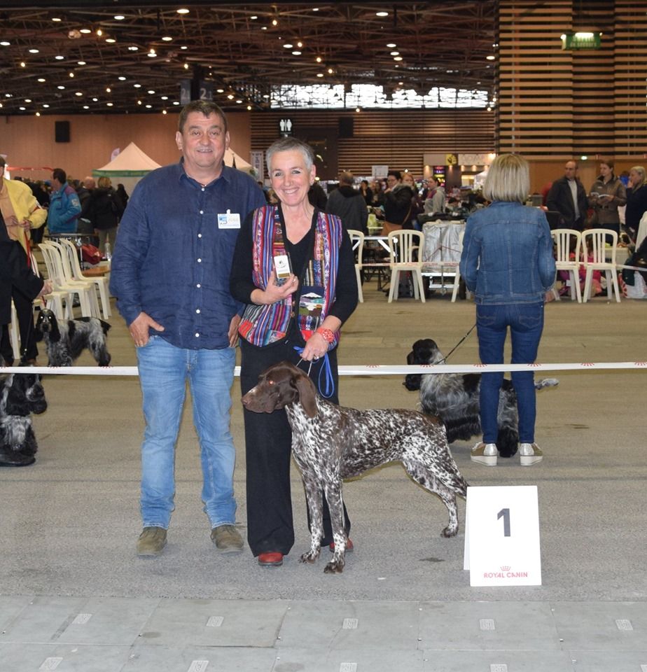 du vallon de Beaudini - Exposition internationale de Lyon 19 Mai 2019 femelle