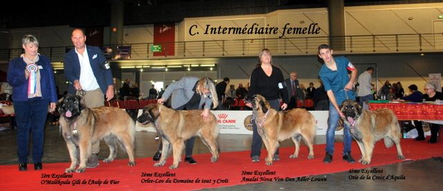 de l'aulp de fier - O'Malekoula spéciale de Martigues