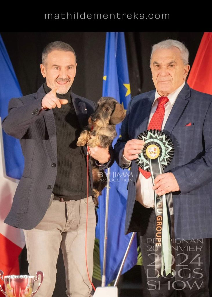 de terre drue de guenreff - La Team DE "TERRE DRUE DE GUENREFF" annonce :