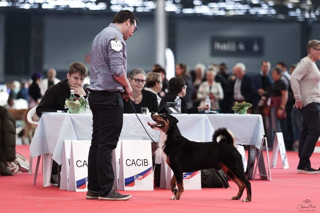 De La Garde Suisse - Euro Dog Show 2022