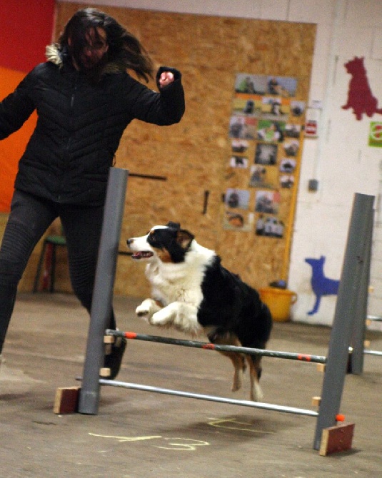 De Windy'stia - Agility