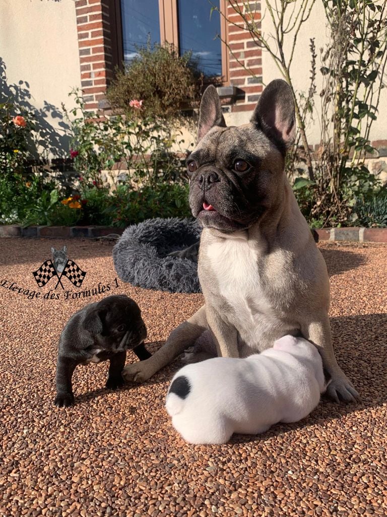 Les bébés de Nigel et Isidore ont 1 mois