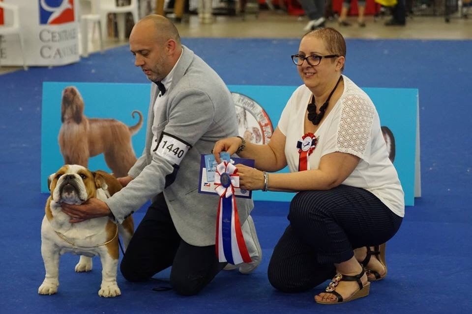 D'Or Wood - BOB PUPPY Championnat de France 2018 