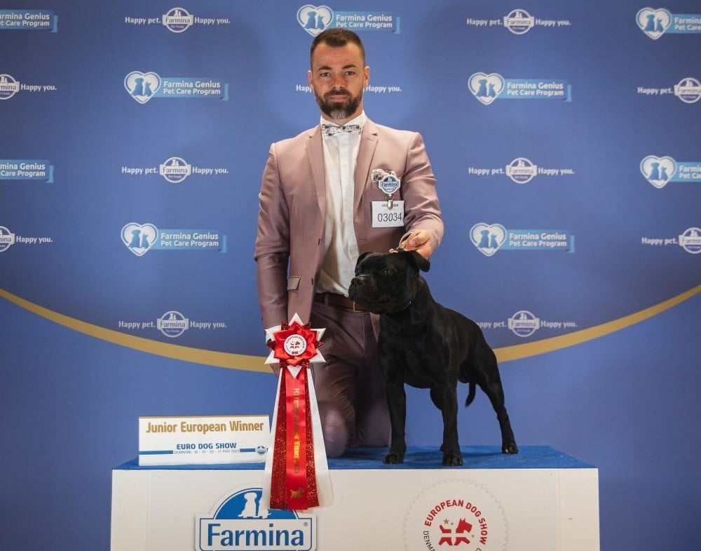 Skillstaff - * * EUROPEAN DOG SHOW 2023 * * DANEMARK