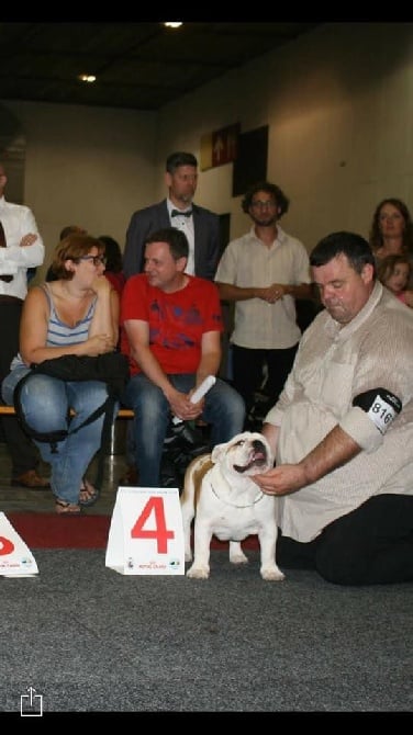 Des Loups Du Roumois - European Dog Show à Bruxelles 28/01/16