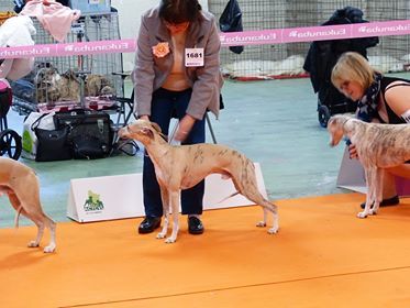 Des coteaux de l'igneraie - Photos expo Bourges