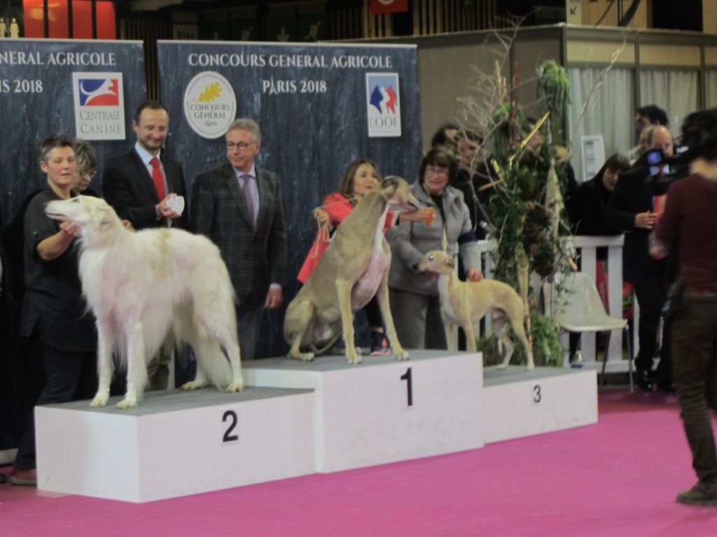 Des coteaux de l'igneraie - CGA  les lévriers demain à Paris