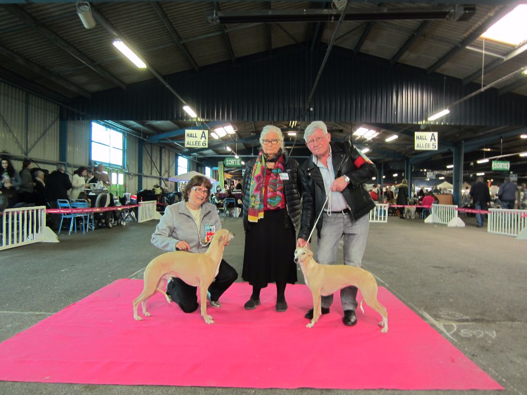 Des coteaux de l'igneraie - Expo Internationale Montluçon (03)