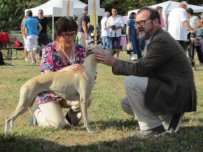 Des coteaux de l'igneraie - bilan des expos de 2016