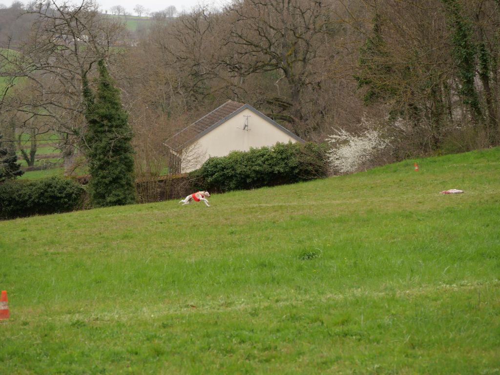 Des coteaux de l'igneraie - P.V.L.