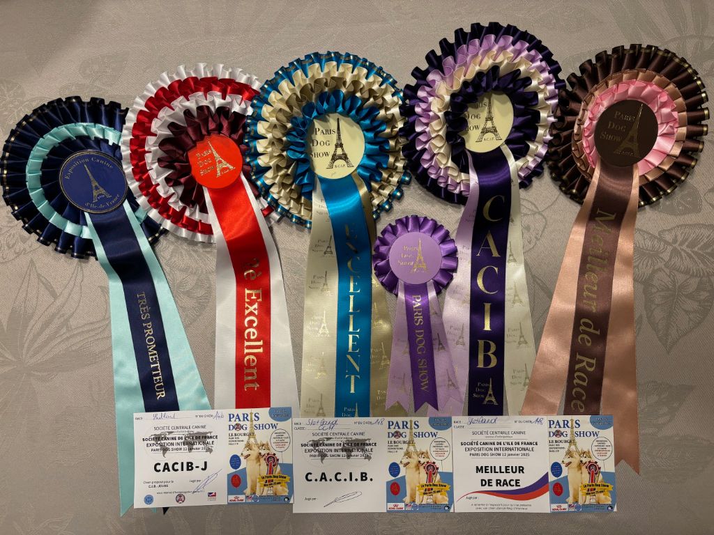 CACIB "PARIS DOG SHOW" - 12/01/2025