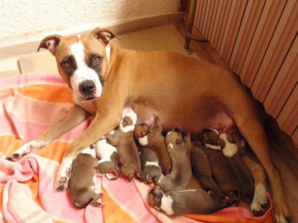 Les bébés sont nés !!