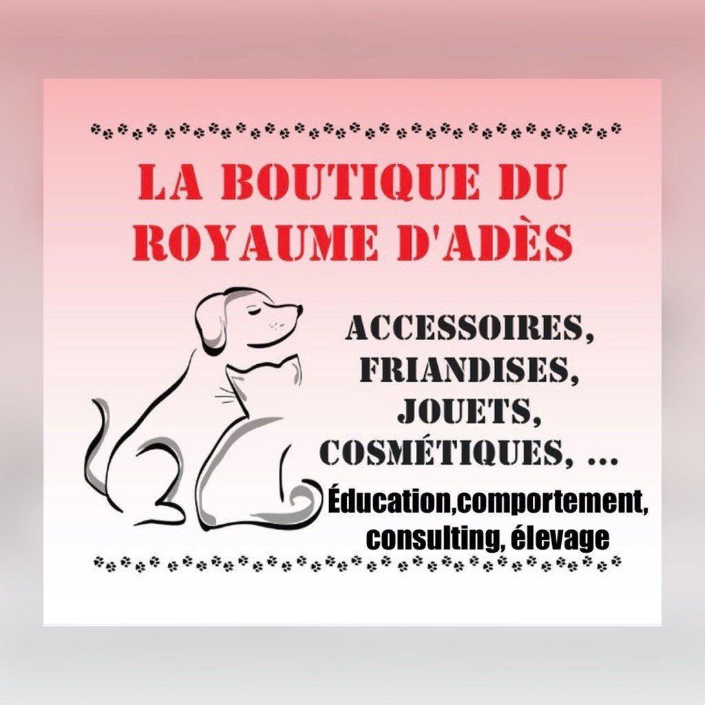 NOUVEAU BOUTIQUE EN LIGNE 