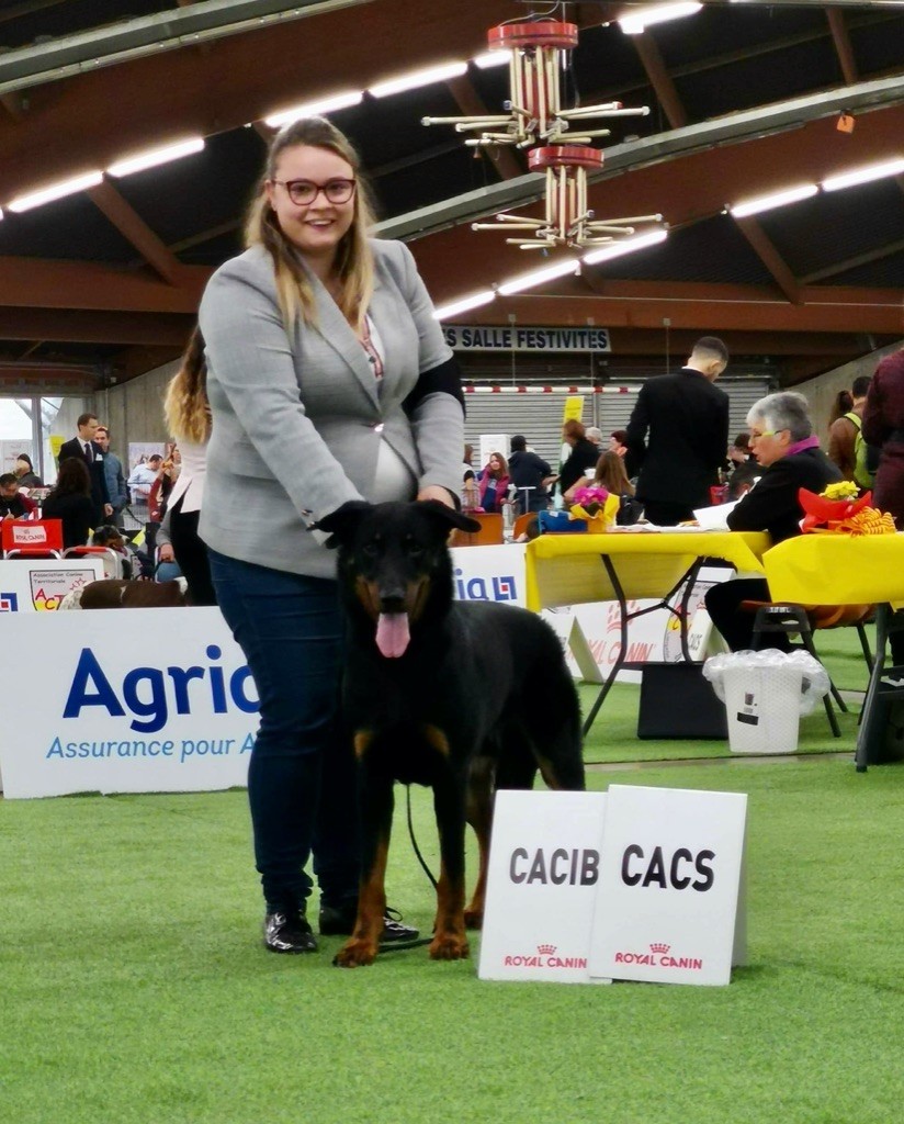 Juste Little Angels - CACS 25/01/2020 CACS CACIB 26/01/2020 Perpignan 