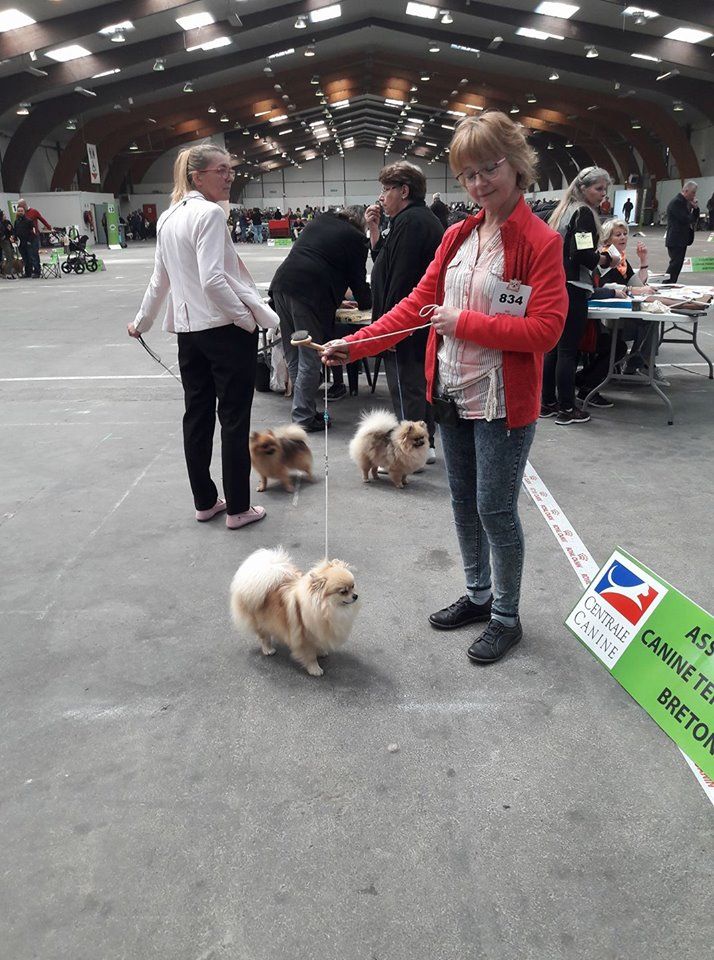 Des Jardins De Titan - 2018-05-13 Exposition de Rennes