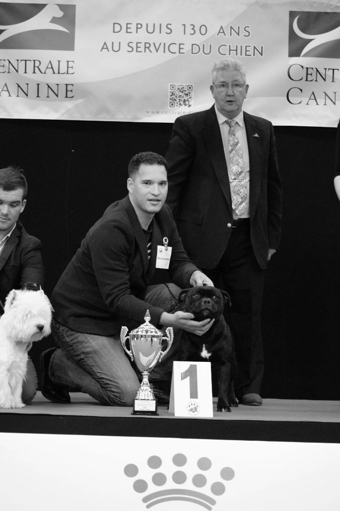 du Domaine de Poudlard - Best in show groupe 3 