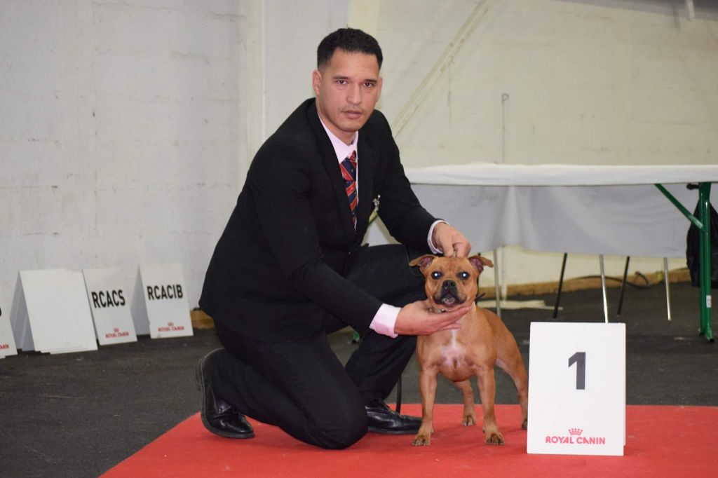 du Domaine de Poudlard - International dog show Rouen