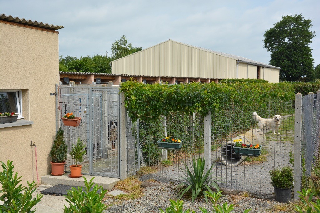 Du Clos De L'Ecotay - Pension Canine