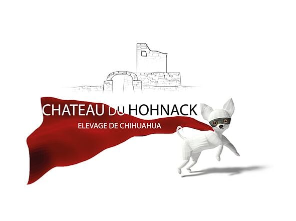 Du Château Du Hohnack - Chihuahua - Portée née le 19/07/2023